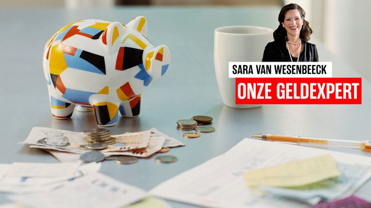 Budgetexpert Sara Van Wesenbeeck maakt deel uit van het geldpanel van Het Laatste Nieuws - www.barkingdogs.be