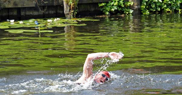 Toppers winnen langebaanzwemmen in Sluis en Braakman | Sport in Zeeland - PZC