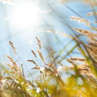 Volop lenteweer op komst: deze week wordt het 15+ graden