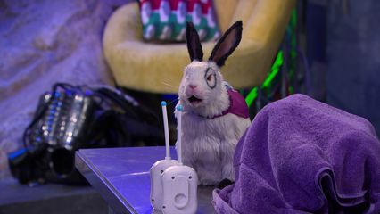 18. Chaos in het Winkelcentrum