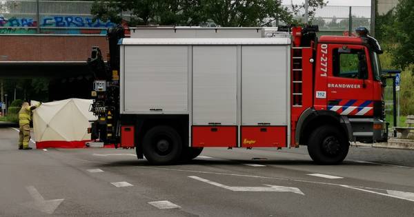 Loslopend paard overleeft aanrijding door vrachtwagen niet.