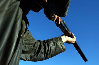 Taakstraf voor stel dat hond Dixie ‘uit liefde’ drogeerde, doodschoot en dumpte