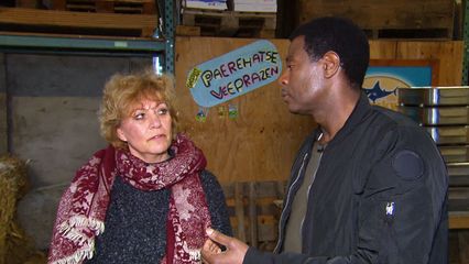 Aflevering 5