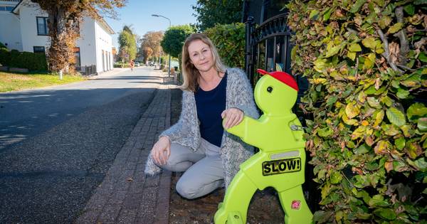 Bewoners Kastanjelaan willen de beloofde herinrichting van 'racebaan'