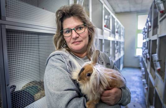 Onder de huidige wetgeving zijn deurwaarders verplicht gezelschapsdieren in beslag te nemen als de schuldeiser dit eist. ,,Maar wat is de geldwaarde van een konijn?", vraagt Geertje van Kranen zich af.