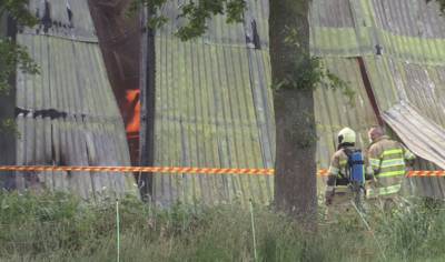 Grote brand in kippenschuur kost 80.000 kippen het leven
