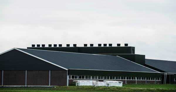 Buren megastal Diessen overwegen gang naar Raad van State - BD.nl