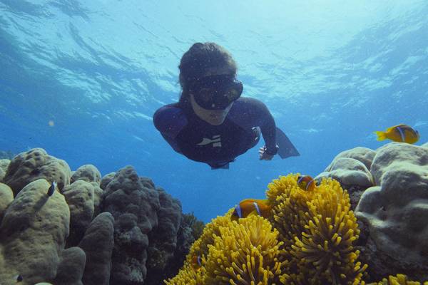 Beneath The Surface: The Fight For Coral