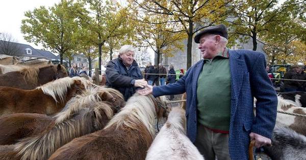 Elke veertien dagen paardenmarkt in Emsburen | Almelo - Tubantia