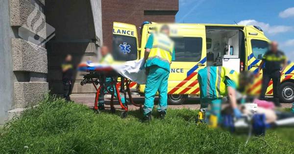 Lentenaar (15) redt leven van man tijdens uitlaten hond: 'Grote held!'