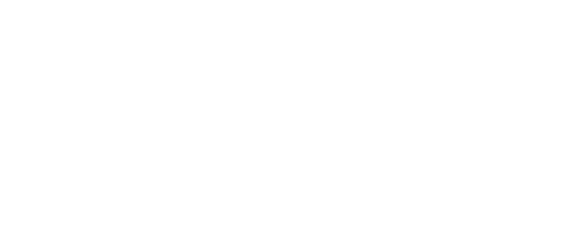 The Christmas Promise
