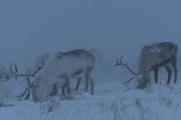Winter: Earth's Seasonal Secrets
