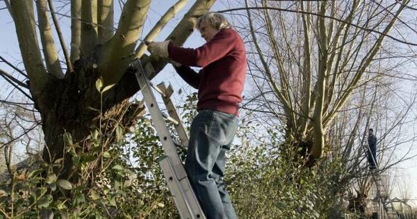 Leden van 't Duumpje beslissen over royement criticaster - PZC