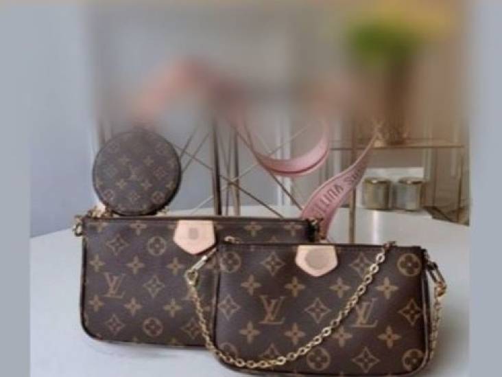 Bossche Oplichter Probeert Neppe Louis Vuitton Tas Te Slijten