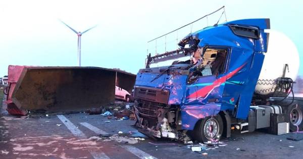 Dat is moord en gewoon 20 jaar de bak in.