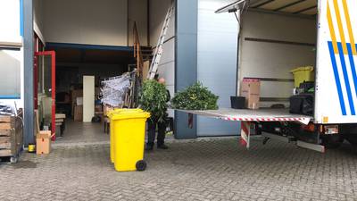 Hennepkwekerij met honderden planten aangetroffen in Duiven