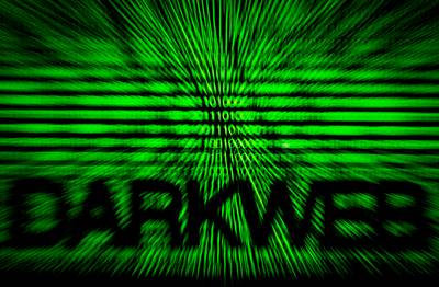 Duizend pagina tellend online handboek helpt pedofiel toe te slaan