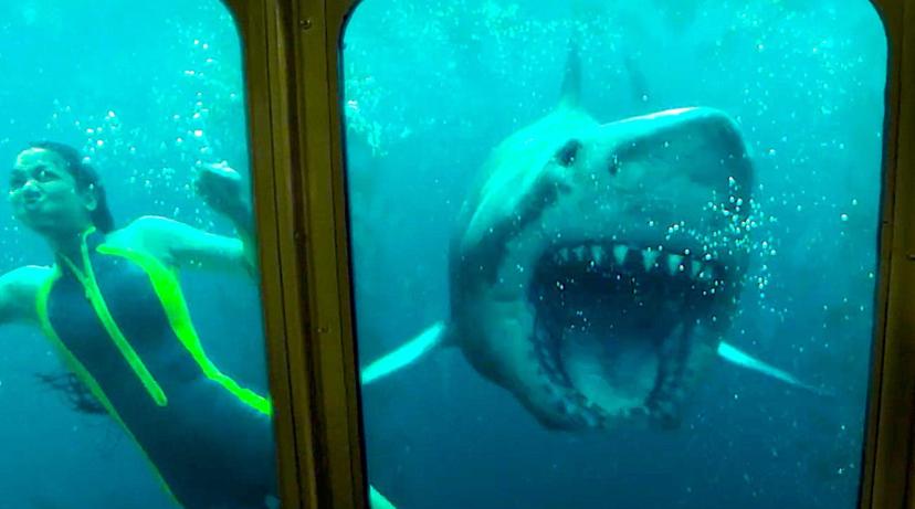 Haai en duiker in 47 Meters Down Uncaged