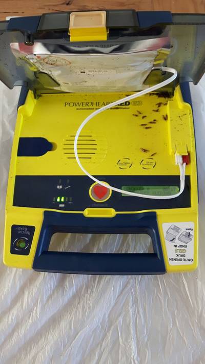 Vol water en oorwormen, maar: 'We hebben onze AED terug!'