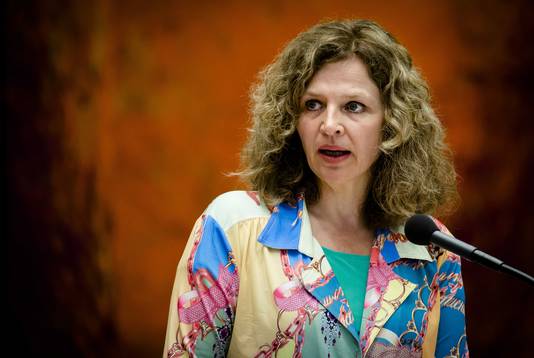 Minister Edith Schippers van VWS tijdens het vragenuur in de Tweede Kamer.