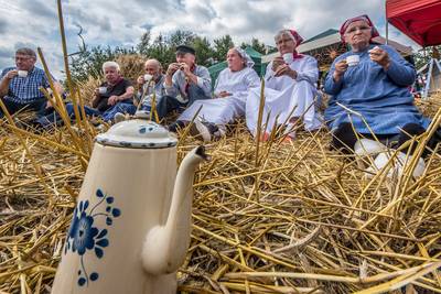 Rogge maaien, ploegen en dorsen met oude werktuigen in de Achterhoek