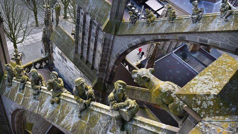 Klim op de Sint-Jan naar de tijd van Bosch' | De Volkskrant