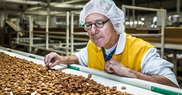 Kruidnootjeskoning Van Delft bakt 3 miljard (!) pepernoten | Binnenland - AD.nl