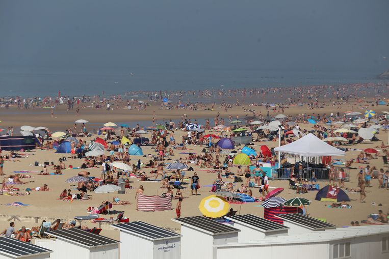 Wallpaper Dit Vroegen We Deze Zomer Het Meest Aan Google Internet Ihln Hln For Android