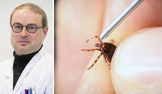Steeds meer mensen krijgen vleesallergie: ‘De schapenteek is de belangrijkste verspreider’