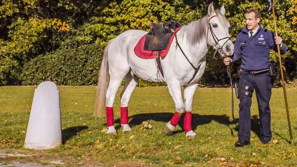 De Buurtpolitie: Sinterklaas Special - Operatie Mandarijn