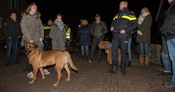 Inbrekers vinden groetende hondenbezitters doodeng