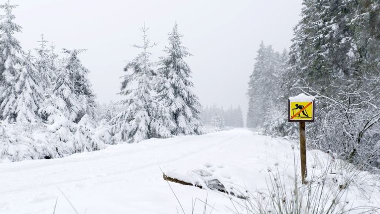 Sneeuw op komst in Ardennen | Nieuws | HLN