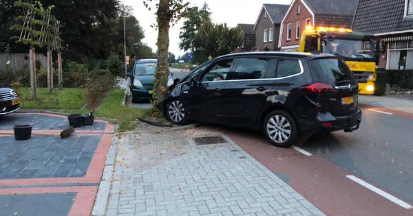 Auto botst frontaal tegen boom in Zenderen