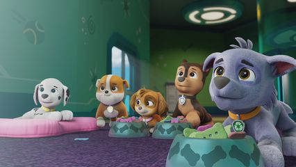 4. Pups redden Helga en de Humsquatch & Pups redden de verdwenen botsteen