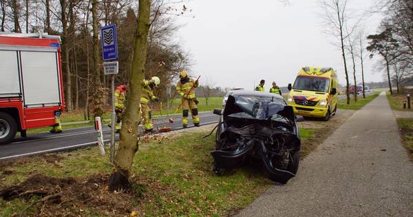 Zeddammer botst met auto tegen boom