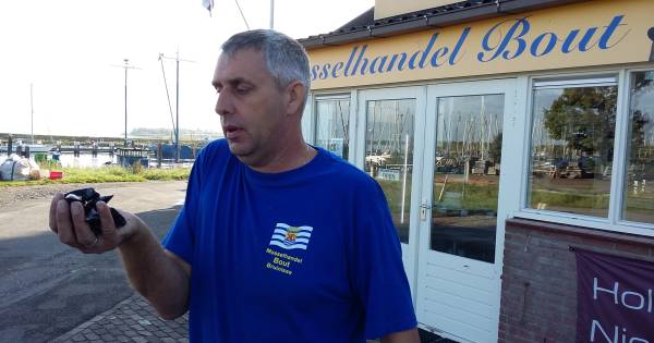 Zeeuws Geeltje uit Bruinisse is er vroeg bij dit jaar - PZC