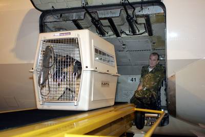 Bange hond ontsnapt en opent vrachtluik van passagierstoestel