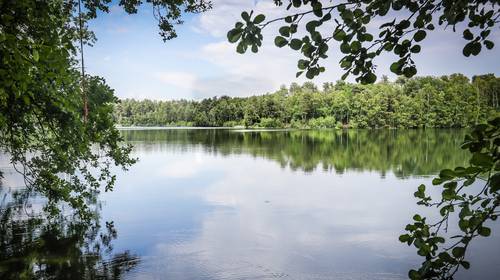 Natuurgebied De Groene Delle wordt dan toch niet gekapt