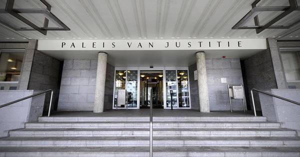 Ex-directeur Gelderland Events nu veroordeeld om wietkwekerij met 12.500 stekken - BD.nl