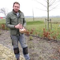 3 tips om eierschalen te gebruiken in je tuin