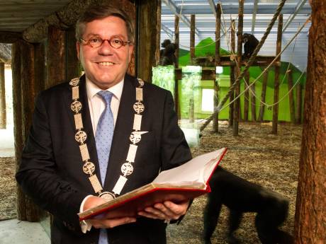 Actief werkt eindhoven