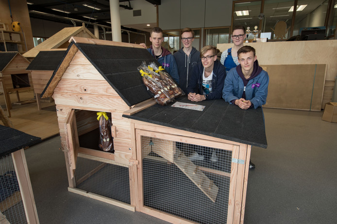 Deze Drontense Scholieren Moesten Een Kippenhok Bouwen Voor Hun