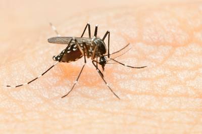 Malaria meest voorkomende doodsoorzaak bij overzeese reizigers