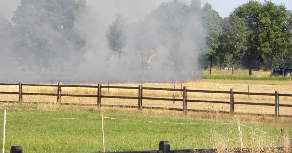 Weiland op Vossenbult in Heelweg vat vlam