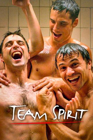 Team Spirit: De serie