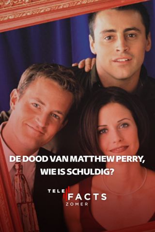 De dood van Matthew Perry, wie is schuldig?