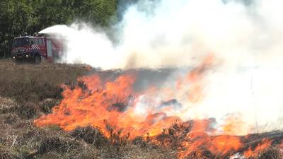 Natuurbrand verwoest ruim 7 hectare Ginkelse Heide