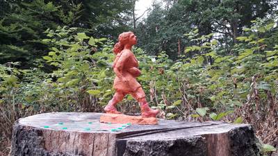 Oud-pastoor brengt ode aan de sterke vrouw