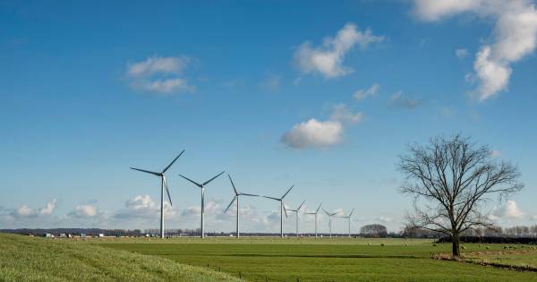 Aansluiting Windpark Deil op stroomstations Zaltbommel en Neerijnen - BD.nl