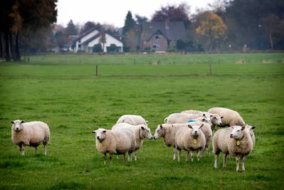 Bavel komt in verzet tegen bouwplan bij Vennekes